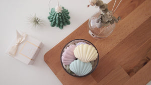 Clam shell air freshener with 5ml refill oil