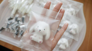 Set of 20 Rabbit Car Air Freshener Favor