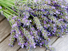 Lavender 1oz,4oz