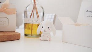 Set of 20 Rabbit Car Air Freshener Favor